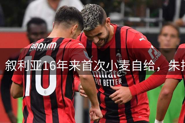 叙利亚16年来首次小麦自给，朱拉尼20个月做成了巴沙尔父子54年没做成的事